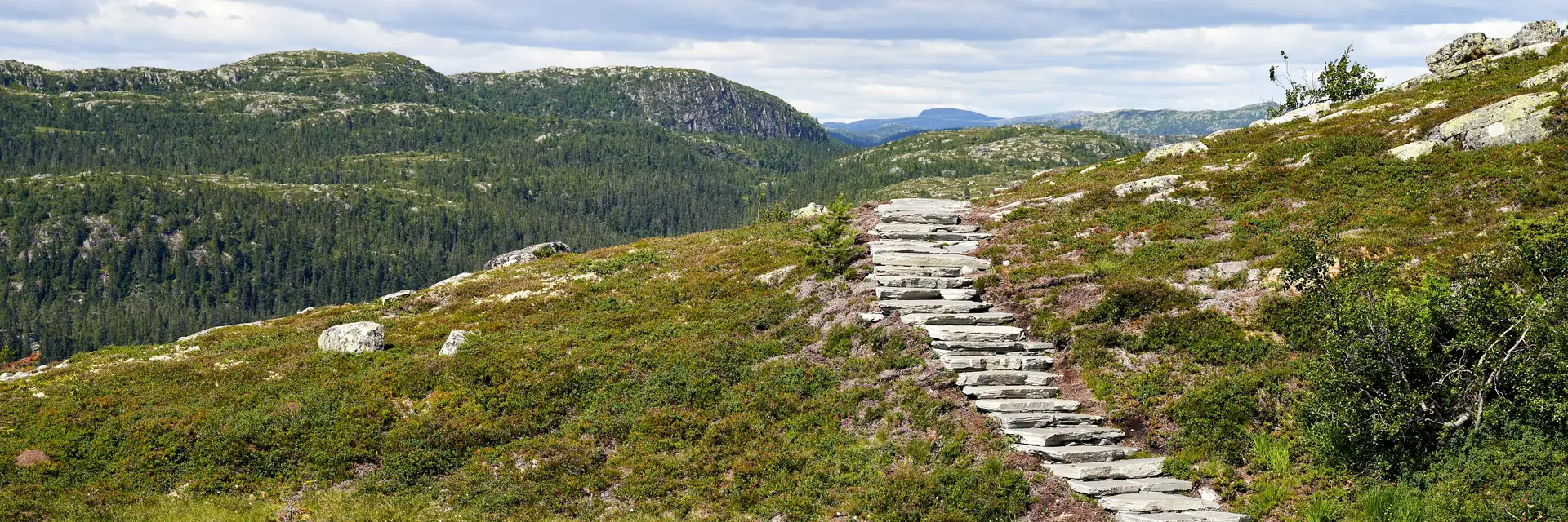 Stone steps climbing a green hillside towards distant mountains