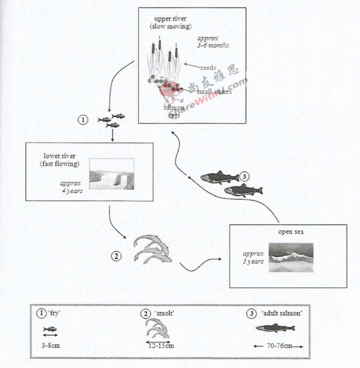 Cambridge IELTS 10 Academic Writing Test 4 Task 1 图表题图片