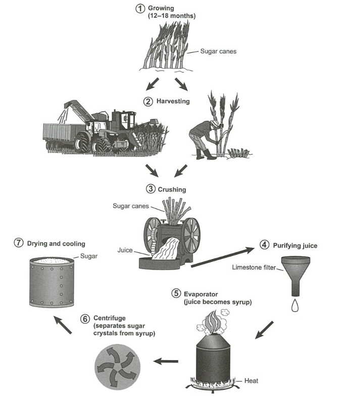 IELTS Academic Writing Task 1 writing task image