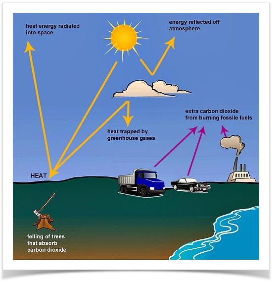 IELTS Academic Writing Task 1 writing task image