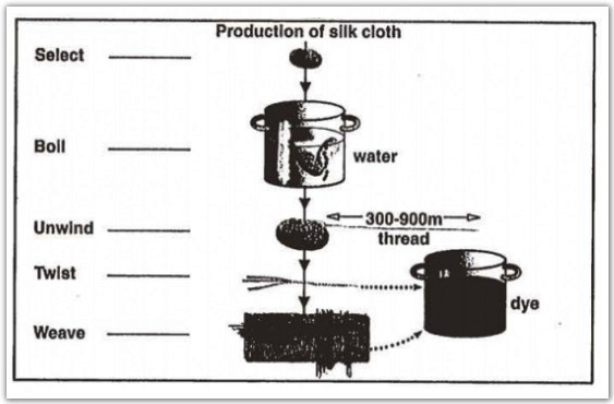 Process diagram 2 of 2 for an IELTS Academic Task 1 question about Production of Silk Cloth.