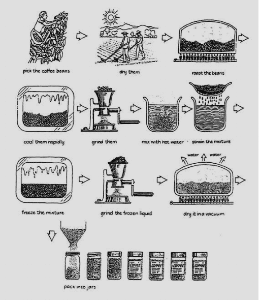 Process diagram for an IELTS Academic Task 1 question about Instant Coffee Production Process.
