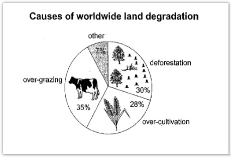 Graph 1 of 2 for an IELTS Academic Task 1 question about Causes of Worldwide Land Degradation.