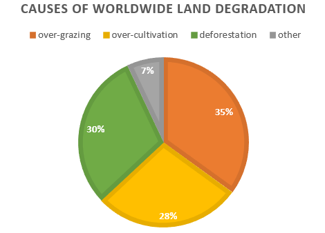 Mixed-chart visual 1 of 2 for an IELTS Academic Task 1 question about Causes of Worldwide Land Degradation.