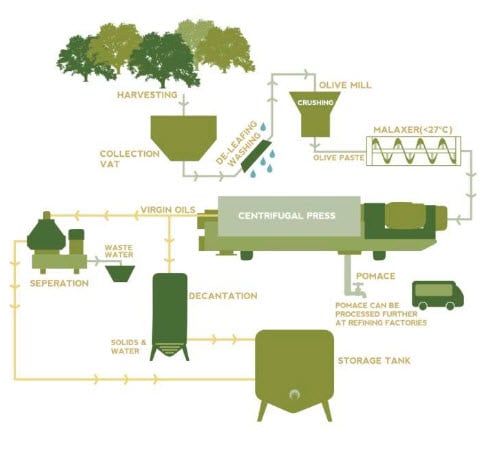 Process diagram for an IELTS Academic Task 1 question about Olive Oil Production Process.