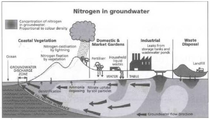 Process diagram for an IELTS Academic Task 1 question about Nitrogen Sources in Coastal Groundwater.