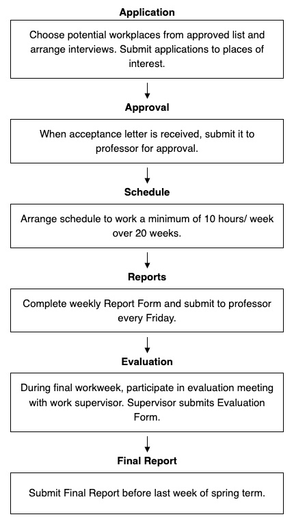 Process diagram for an IELTS Academic Task 1 question about University Work Experience Process.