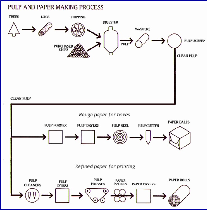 Process diagram for an IELTS Academic Task 1 question about Pulp and Paper Making Process.