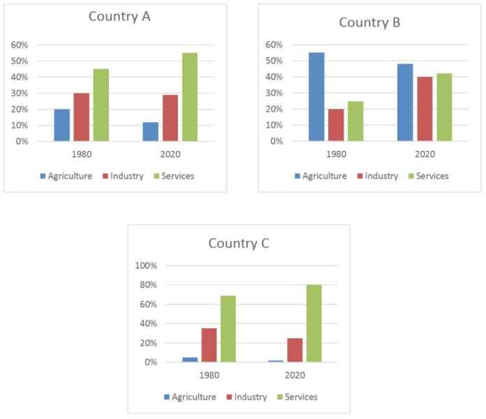 Bar chart for an IELTS Academic Task 1 question about Employment Distribution Across Three Countries.