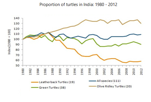 Line graph for an IELTS Academic Task 1 question about Turtle Populations in India.