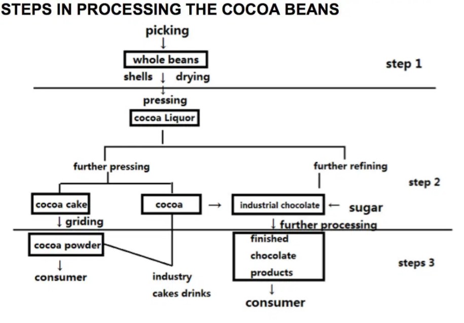 Process diagram for an IELTS Academic Task 1 question about Cocoa Bean Processing Steps.