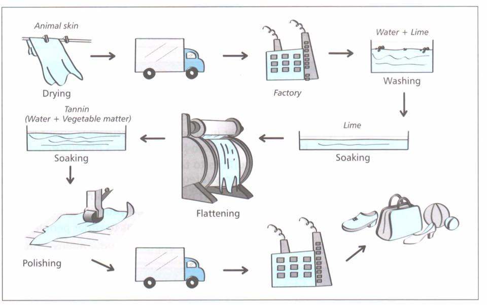 Process diagram for an IELTS Academic Task 1 question about Leather Product Manufacturing Process.