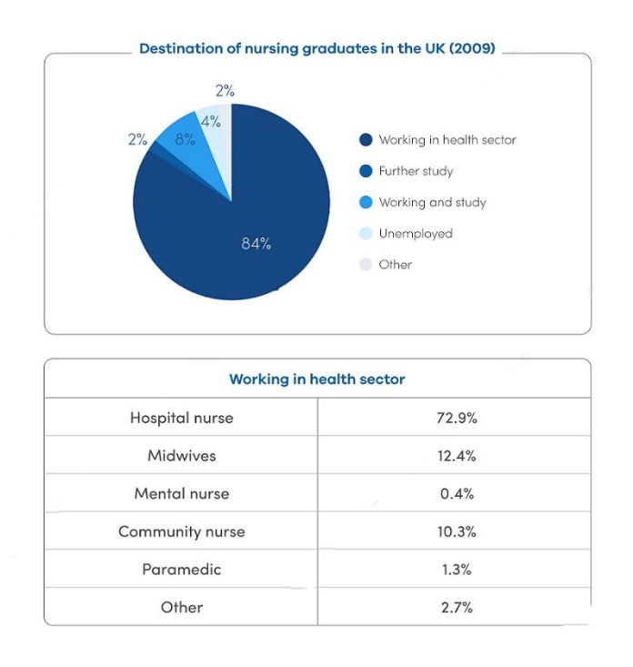 Mixed-chart visual for an IELTS Academic Task 1 question about UK Nursing Graduates' Destinations.