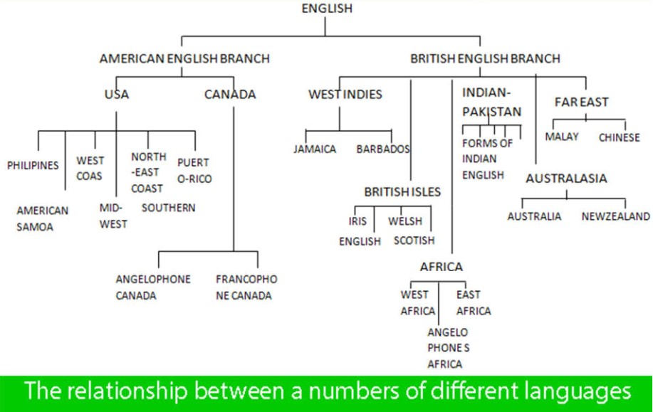 Process diagram for an IELTS Academic Task 1 question about English Language Branches.