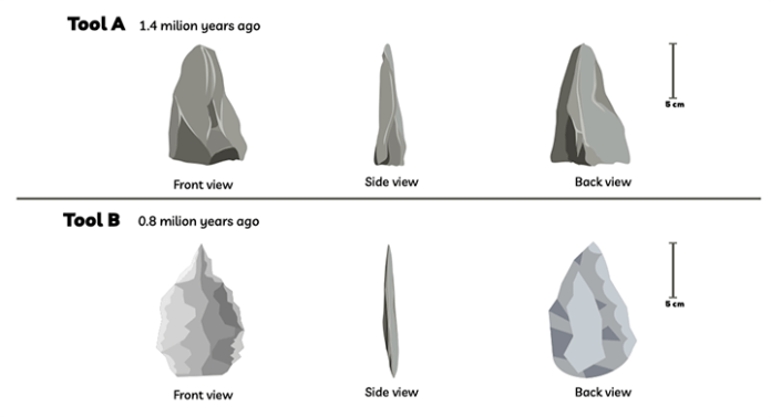 Process diagram for an IELTS Academic Task 1 question about Stone Age Cutting Tool Development.