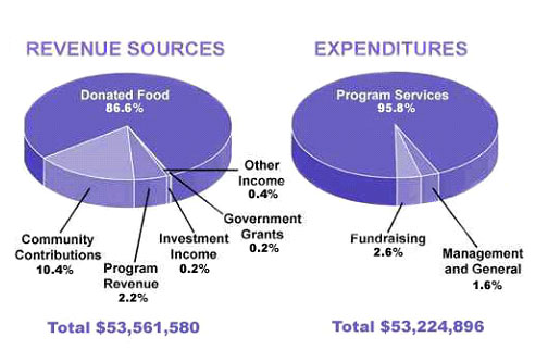 Pie chart for an IELTS Academic Task 1 question about US Children's Charity Finances.