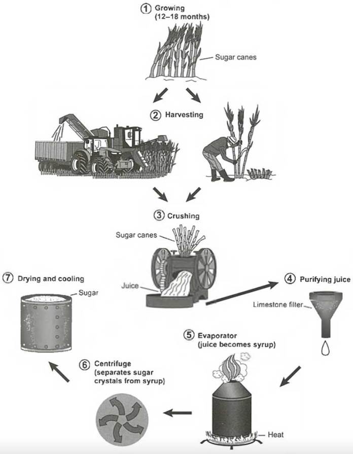 Process diagram for an IELTS Academic Task 1 question about Sugar Production from Sugar Cane.