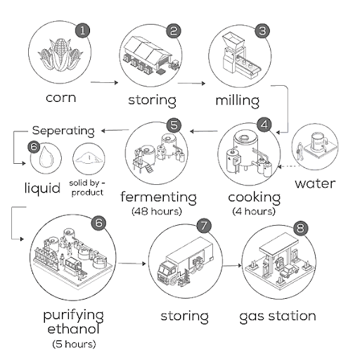 Visual for an IELTS Academic Task 1 question: : Diagram The diagram below shows how ethanol fuel is produced from corn.