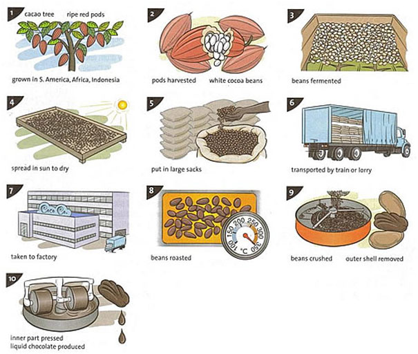 Process diagram for an IELTS Academic Task 1 question about Chocolate Production Process.